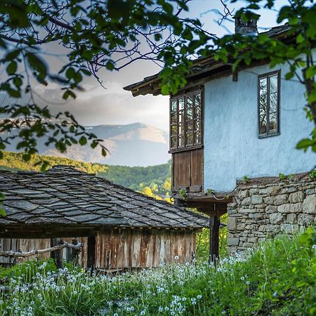Authentic House With Stunning Mountain View - Karashka Villa Apriltsi  Luaran gambar