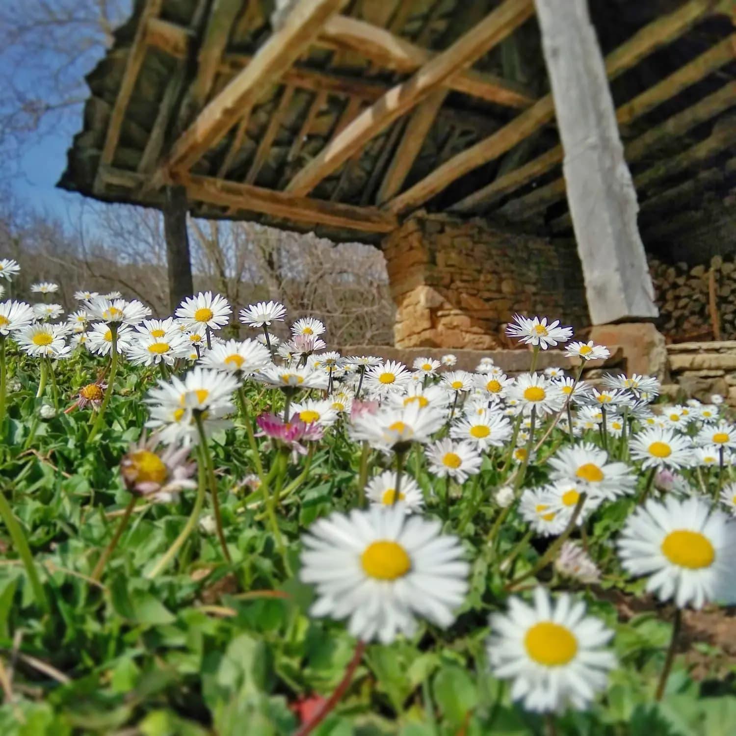 Authentic House With Stunning Mountain View - Karashka Villa Apriltsi  Luaran gambar